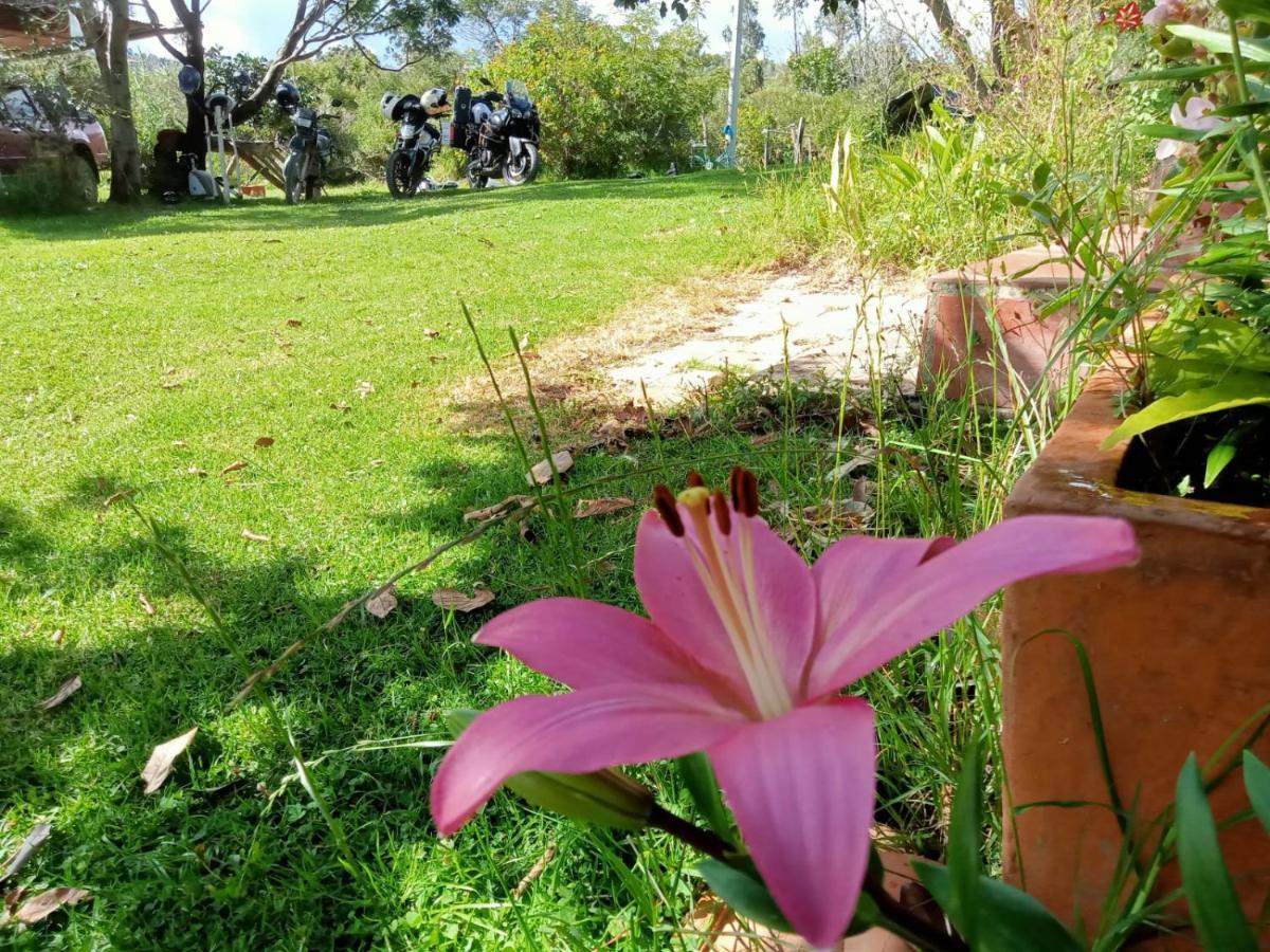 Hospedaje Y Zona De Camping Pistacho Guest House Villa de Leyva Exterior photo