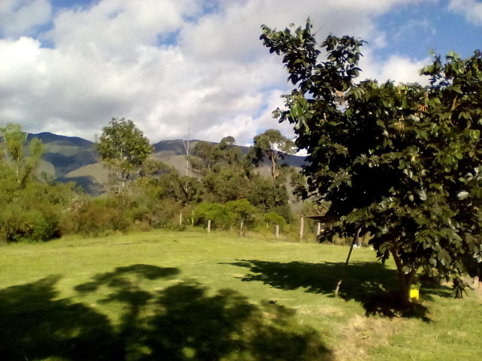 Hospedaje Y Zona De Camping Pistacho Guest House Villa de Leyva Exterior photo